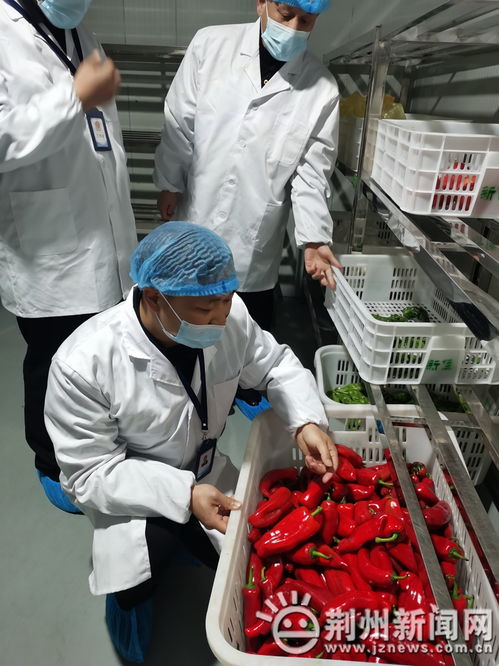 21種高風險食品禁入中小學幼兒園 沙市區(qū)開展專項檢查