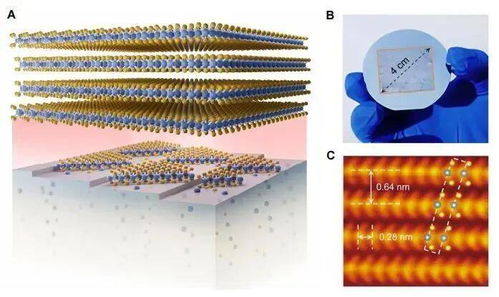 突破性成果 我國高校科研團隊首創
