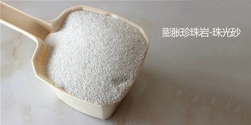 gb t 20313建筑材料及制品的濕熱性能含濕率的測定 烘干法珠光砂含水量測試儀